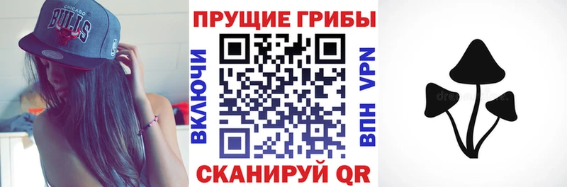 Псилоцибиновые грибы Cubensis Вятские Поляны
