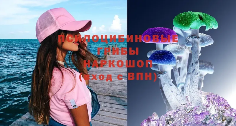 кракен вход  Вятские Поляны  Галлюциногенные грибы Magic Shrooms 