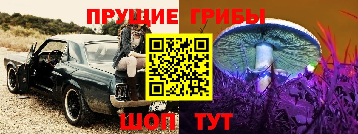 Псилоцибиновые грибы ЛСД Вятские Поляны