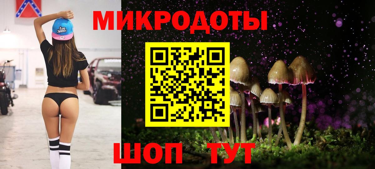 Галлюциногенные грибы Cubensis  Вятские Поляны  Галлюциногенные грибы Psilocybe 